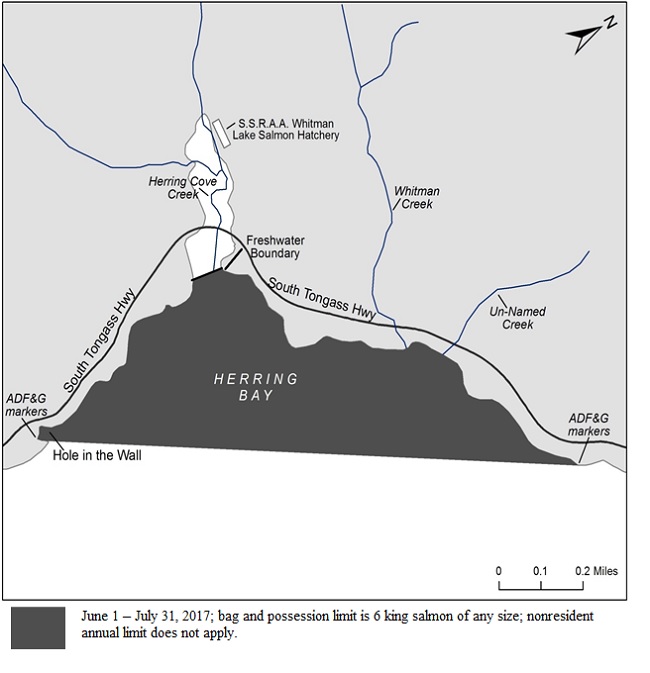 Hatchery King Salmon Limits Increased in Herring Bay Area